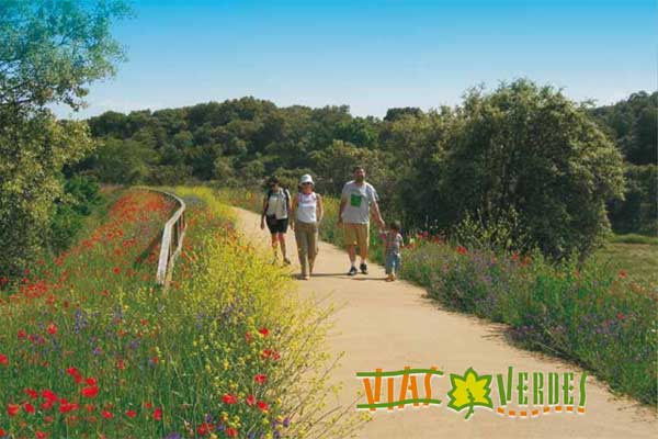Vía Verde de Sevilla Bicicletas Verde Vía