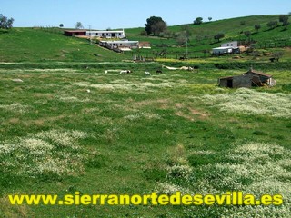 galería de fotos Casa Rural Moises