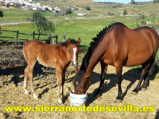 galería de fotos Casa Rural Moises