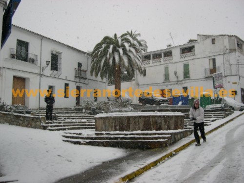 nieve